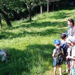 phoca_thumb_m_vlet 15 Fotogalerie